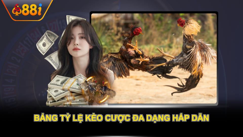 Bảng tỷ lệ kèo cược đa dạng hấp dẫn