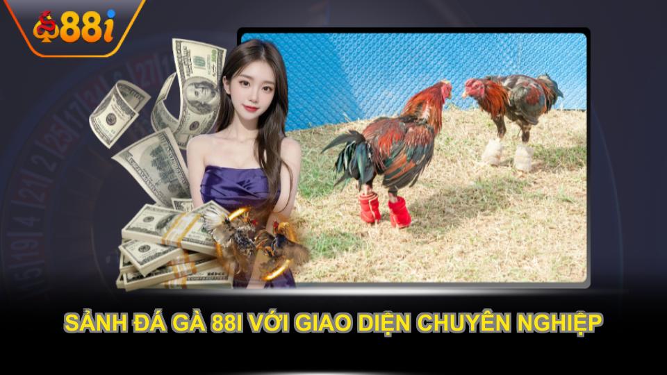 Sảnh đá gà 88i với giao diện chuyên nghiệp